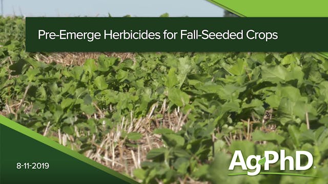 Pre-Emerge Herbicides for Fall-Seeded...