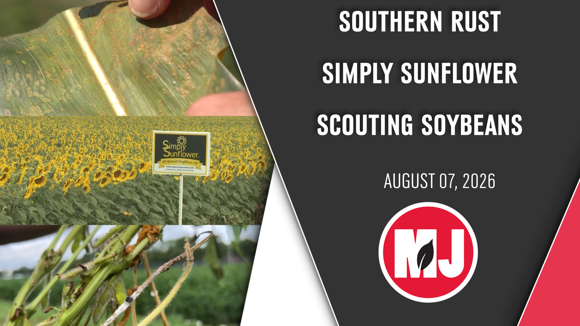 August 07, 2026 | Market Journal