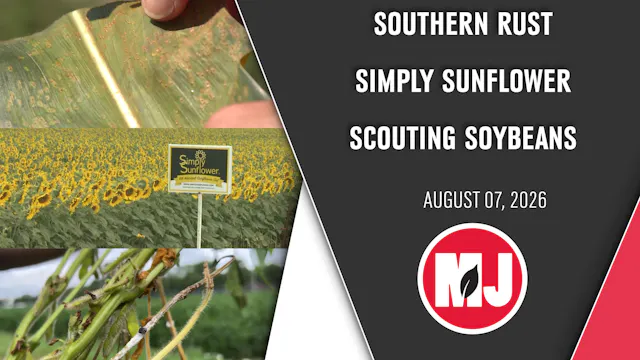 August 07, 2026 | Market Journal