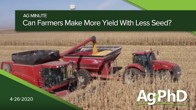 Can Farmers Make More Yield With Less Seed? | Ag PhD