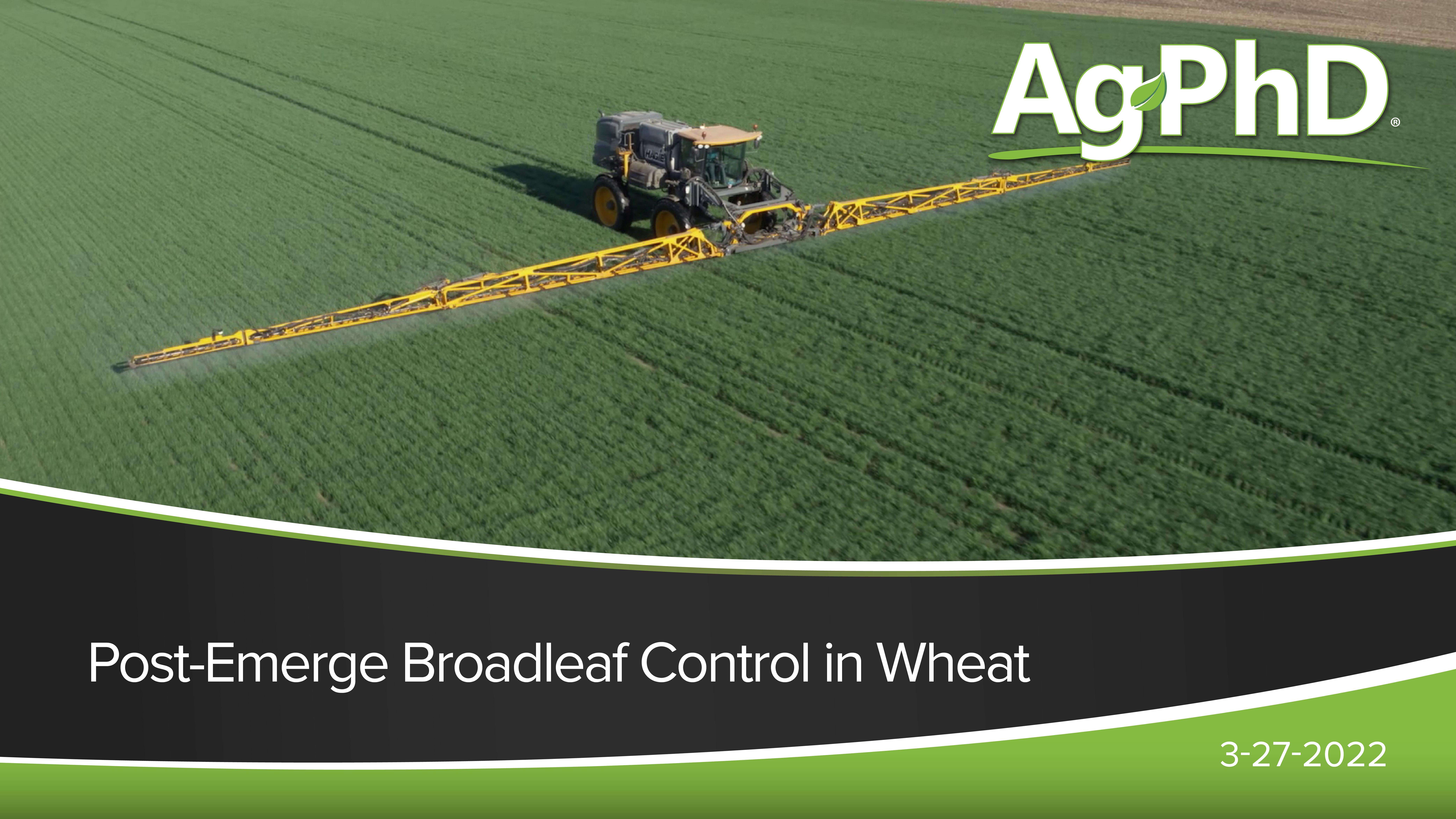 Post-Emerge Broadleaf Weed Control in Wheat | Ag PhD