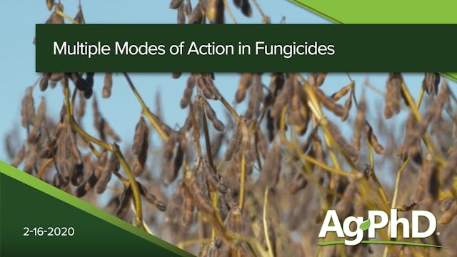 Multiple Modes of Action in Fungicide...