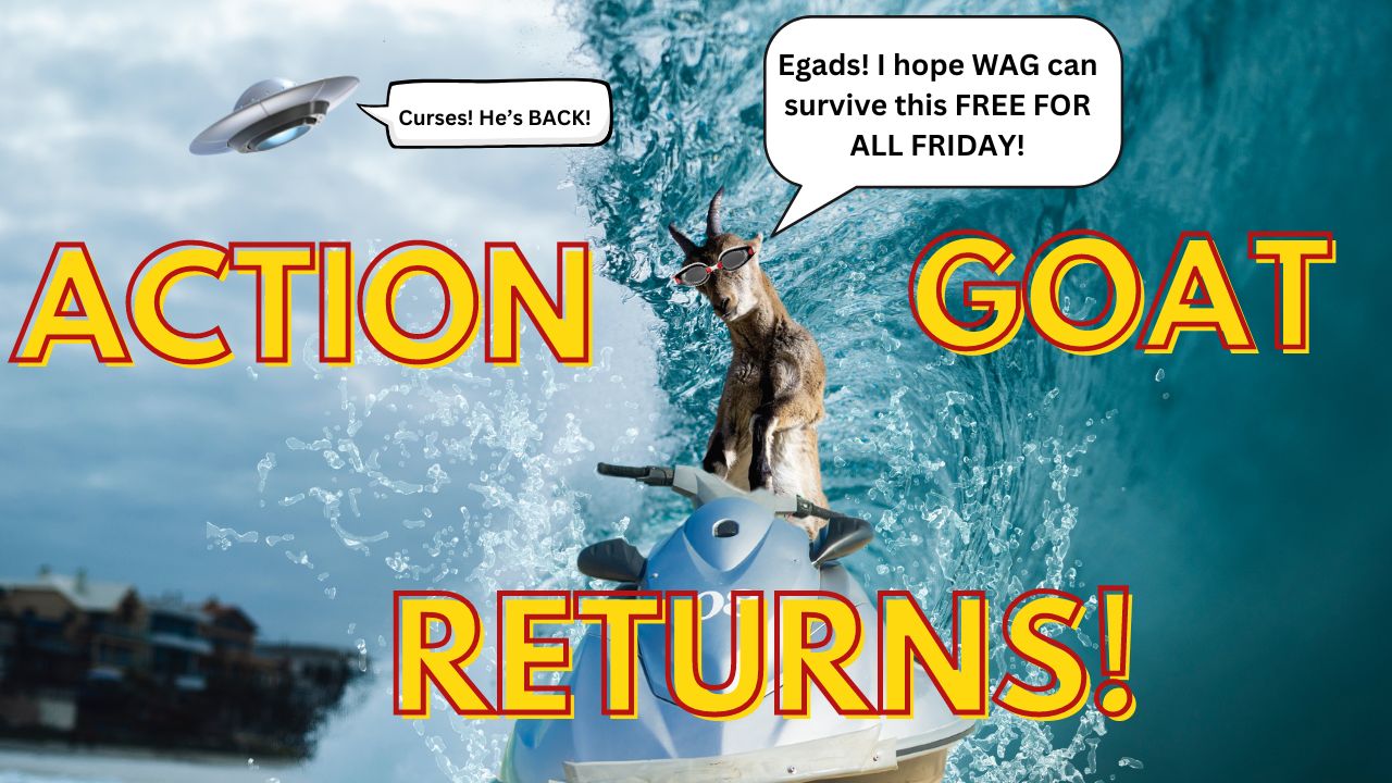 A Fantastically Frantic Free for All Friday | WAG in Focus 2/16/24