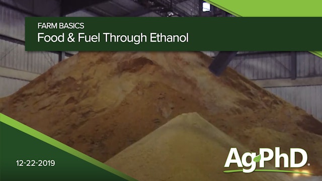 Food and Fuel Through Ethanol