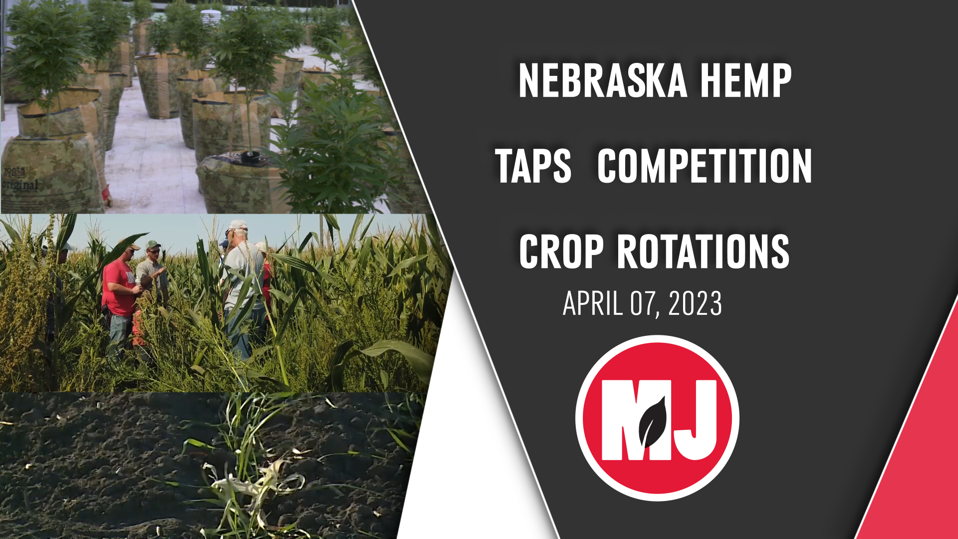 April 07, 2023 | Market Journal