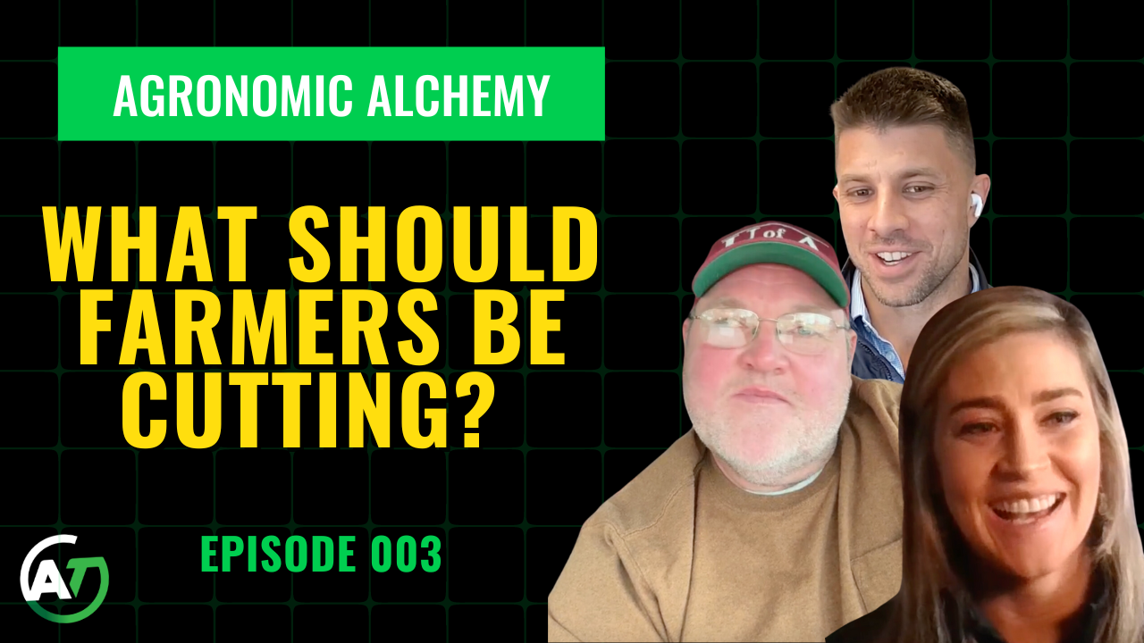 Commodity prices are shifting. What should farmers be cutting | AgroTech