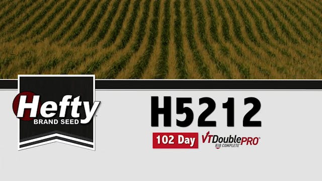 H5212 | 102-Day | VT2P