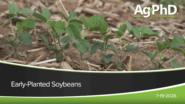 Early-Planted Soybeans | Ag PhD