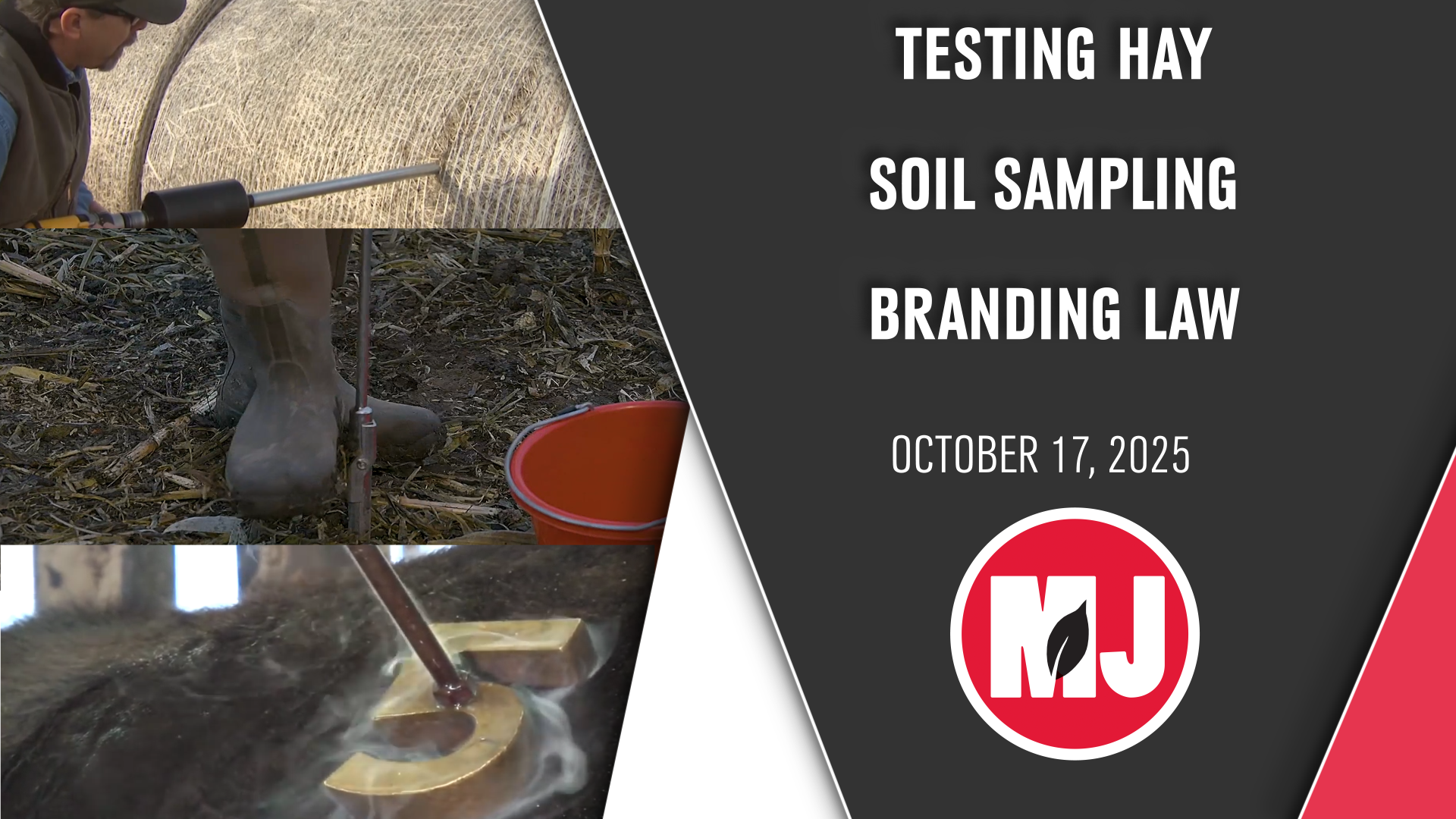 October 17, 2025 | Market Journal