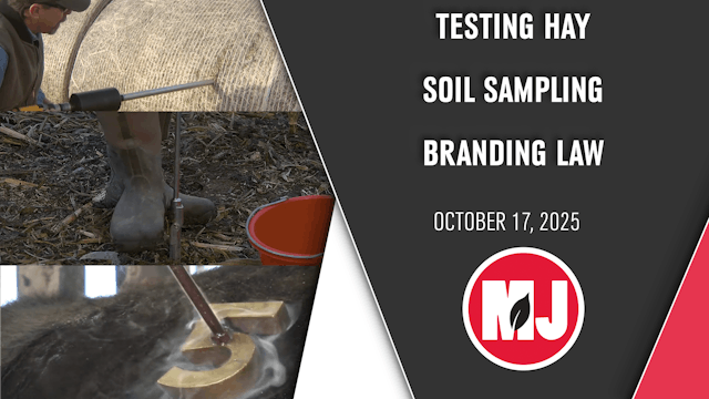 October 17, 2025 | Market Journal