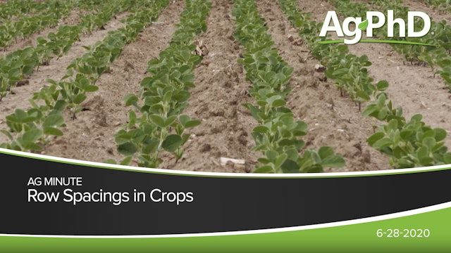 Row Spacings In Crops | Ag PhD