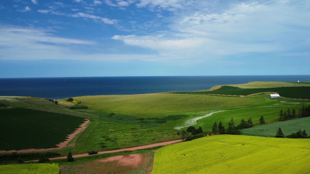 High Risk, High Reward | Episode 1 | Quest for the Canola Crown