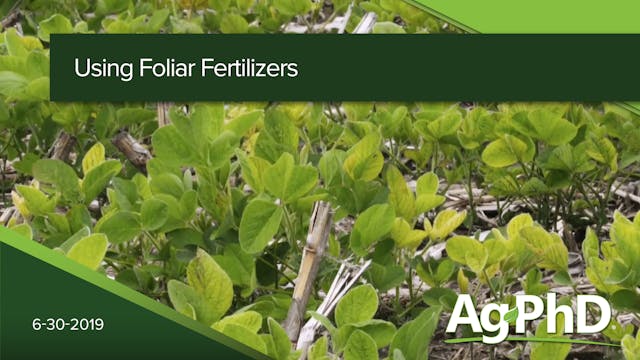 Using Foliar Fertilizers | Ag PhD