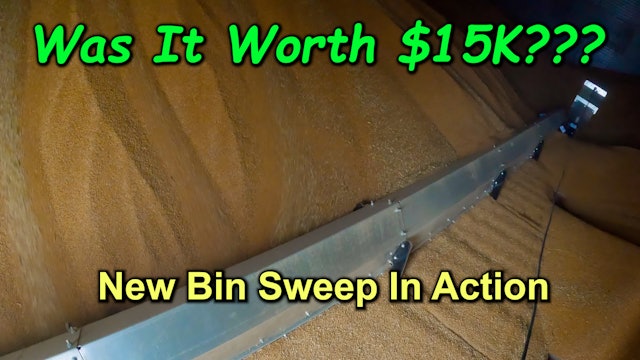 Was The $15K Bin Sweep Worth It??? | Griggs Farms