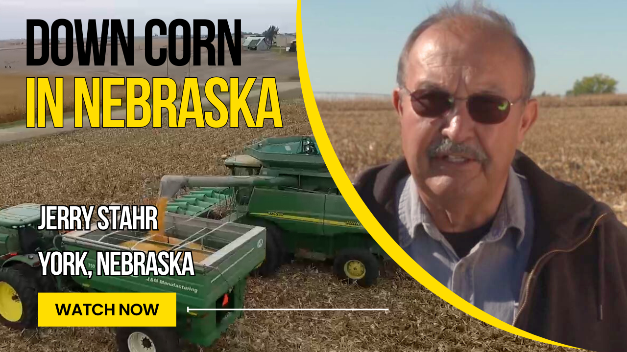 Nebraska Farmer Dealing With Down Corn Following Wind, Rain Event | Rural Radio