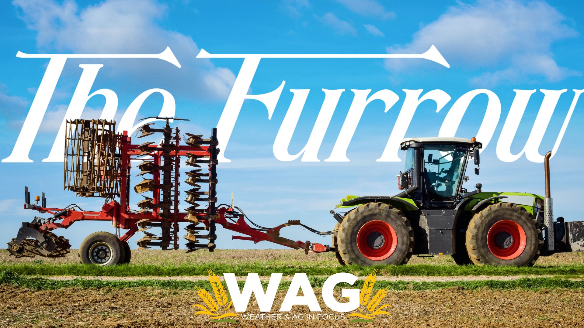 The Farm Storyteller - WAG In Focus 5-3-23