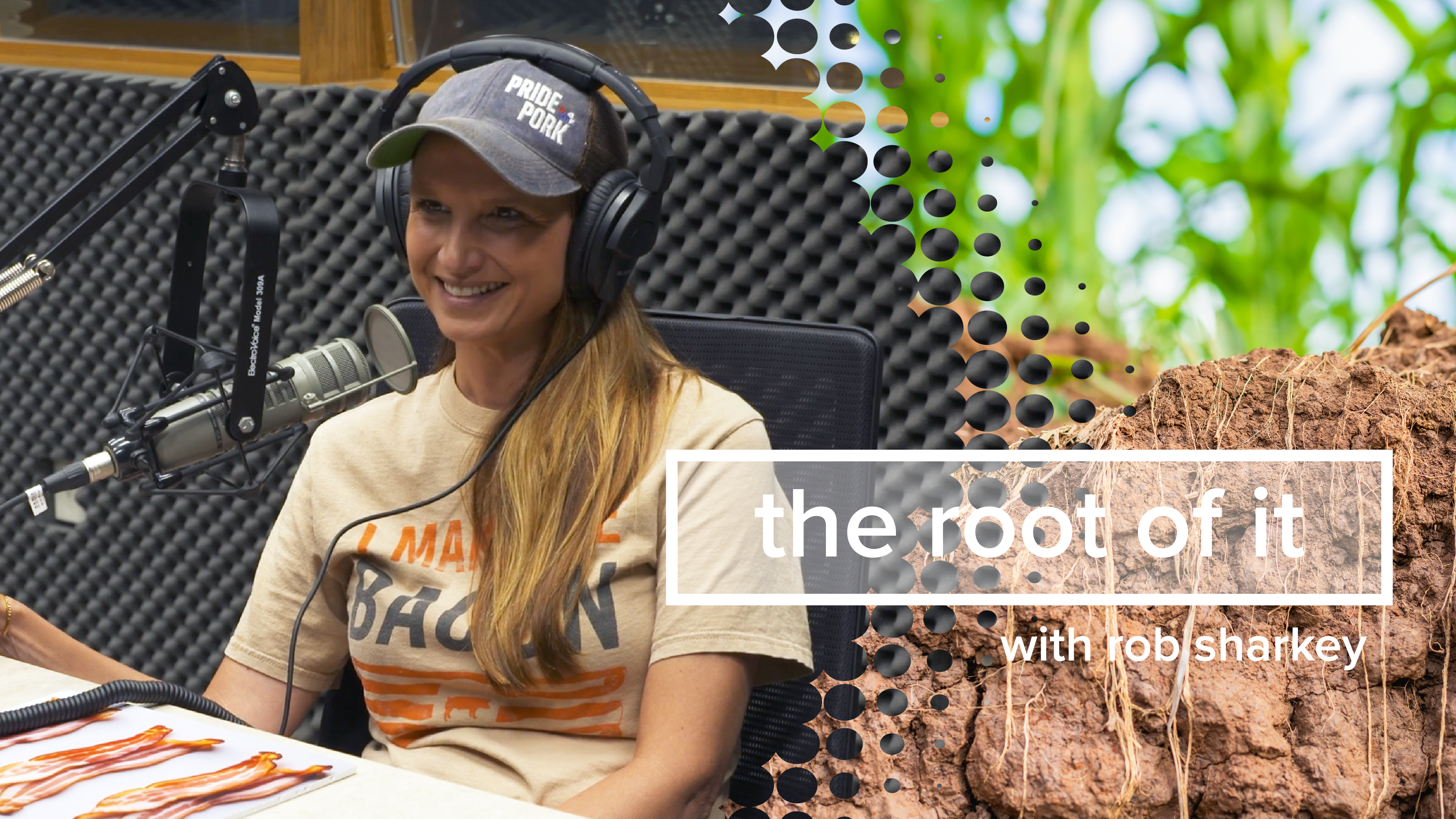 Rachel Fishback | The Root of It