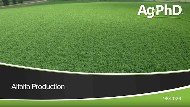 Alfalfa Production | Ag PhD