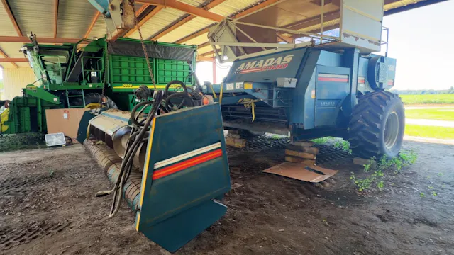 21 Year Old Peanut Picker Gets A Face...