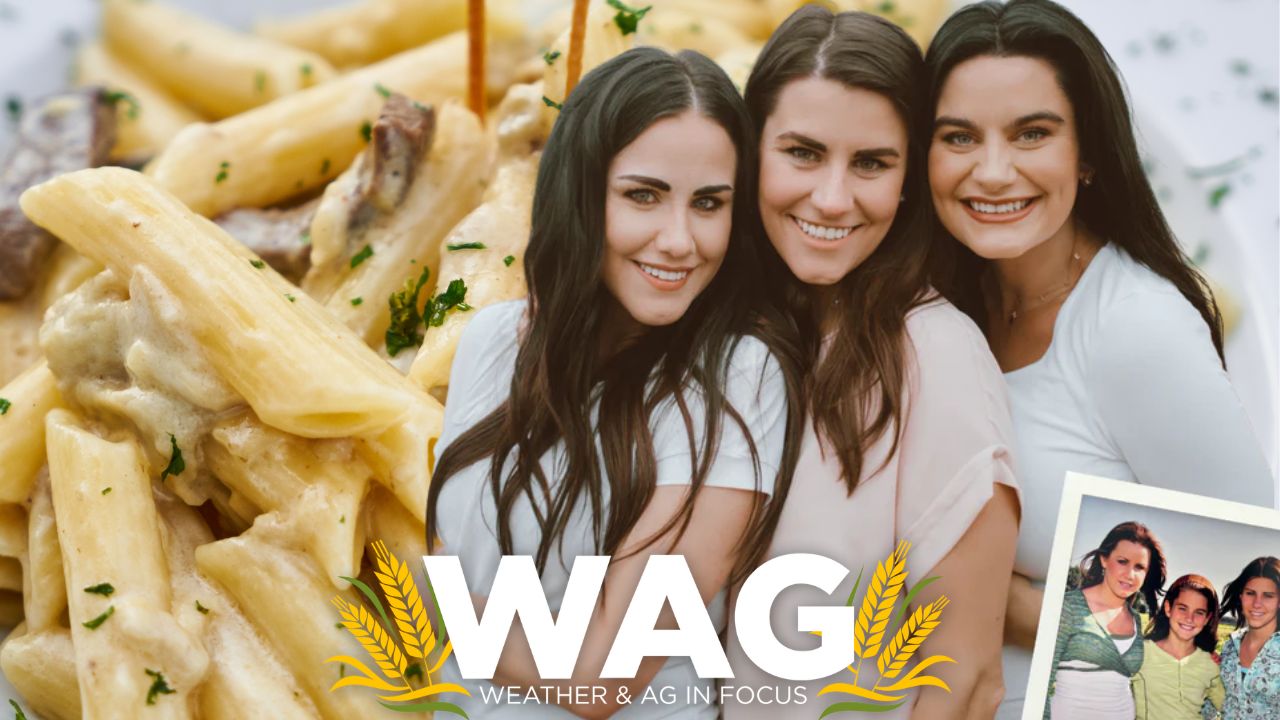 Learn about one company...full of PASTA-bilities! WAG In Focus 3-27-23