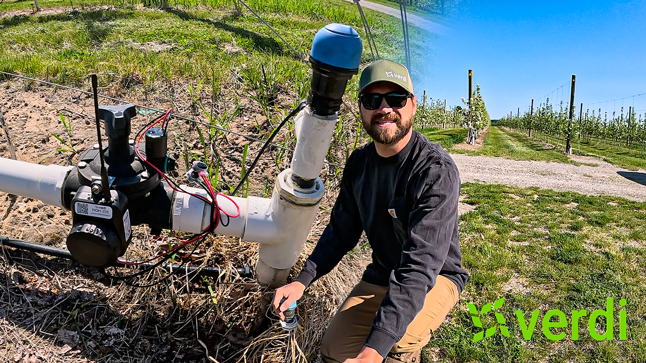 I Finally Automated My Irrigation Valves (Game Changer!) | Pomes and Stones