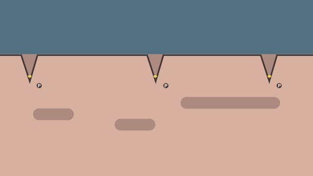 Phosphorus | AgroLiquid B2B