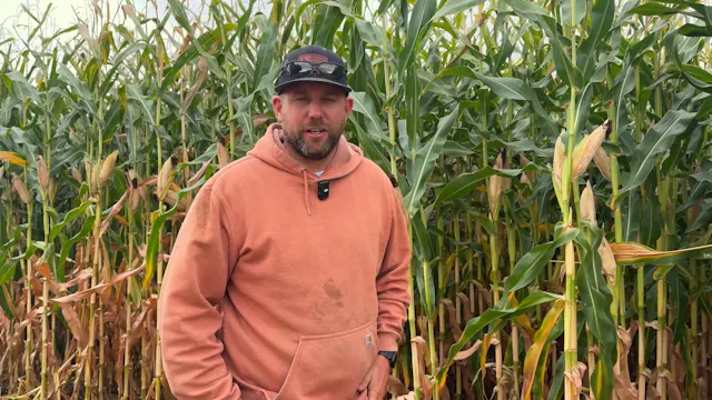 RDX-N® Successfully Cut Shey Taylor's...