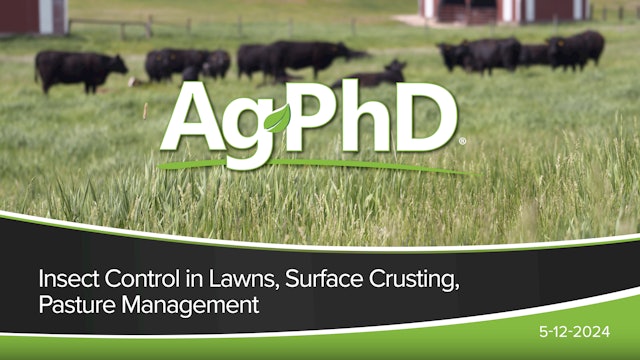 Insect Control in Lawns, Surface Crusting, Pasture Management | Ag PhD