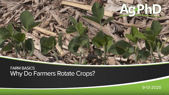 Why Do Farmers Rotate Crops? | Ag PhD