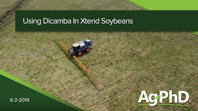 Using Dicamba in Xtend Soybeans