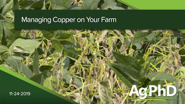 Managing Copper on Your Farm | Ag PhD
