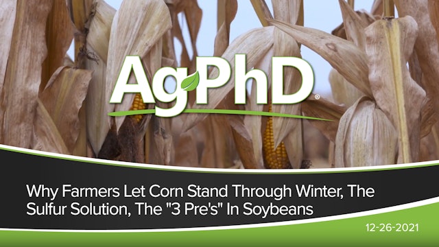 Why Farmers Let Corn Stand Through Winter, Sulfur Solution, 3 Pre's in Soybeans