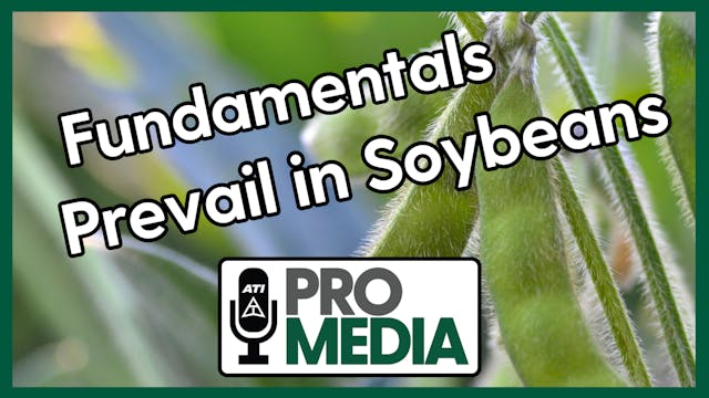 Fundamentals Prevail in Soybeans | AT...