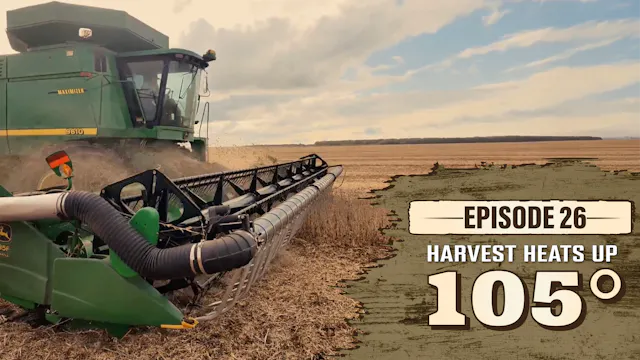 Maximizing Beans | Northwoods