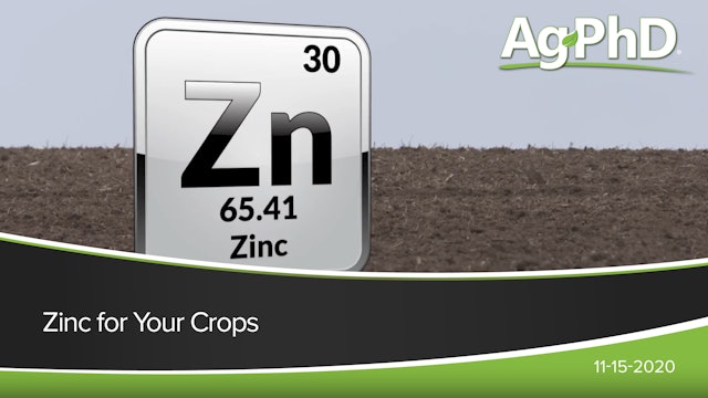 Zinc for Your Crops