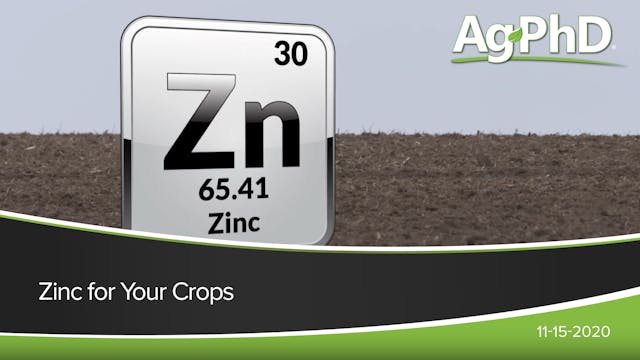 Zinc for Your Crops | Ag PhD