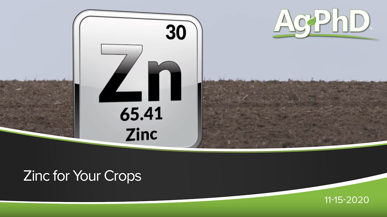 Zinc for Your Crops Ag PhD 2020 AcresTV