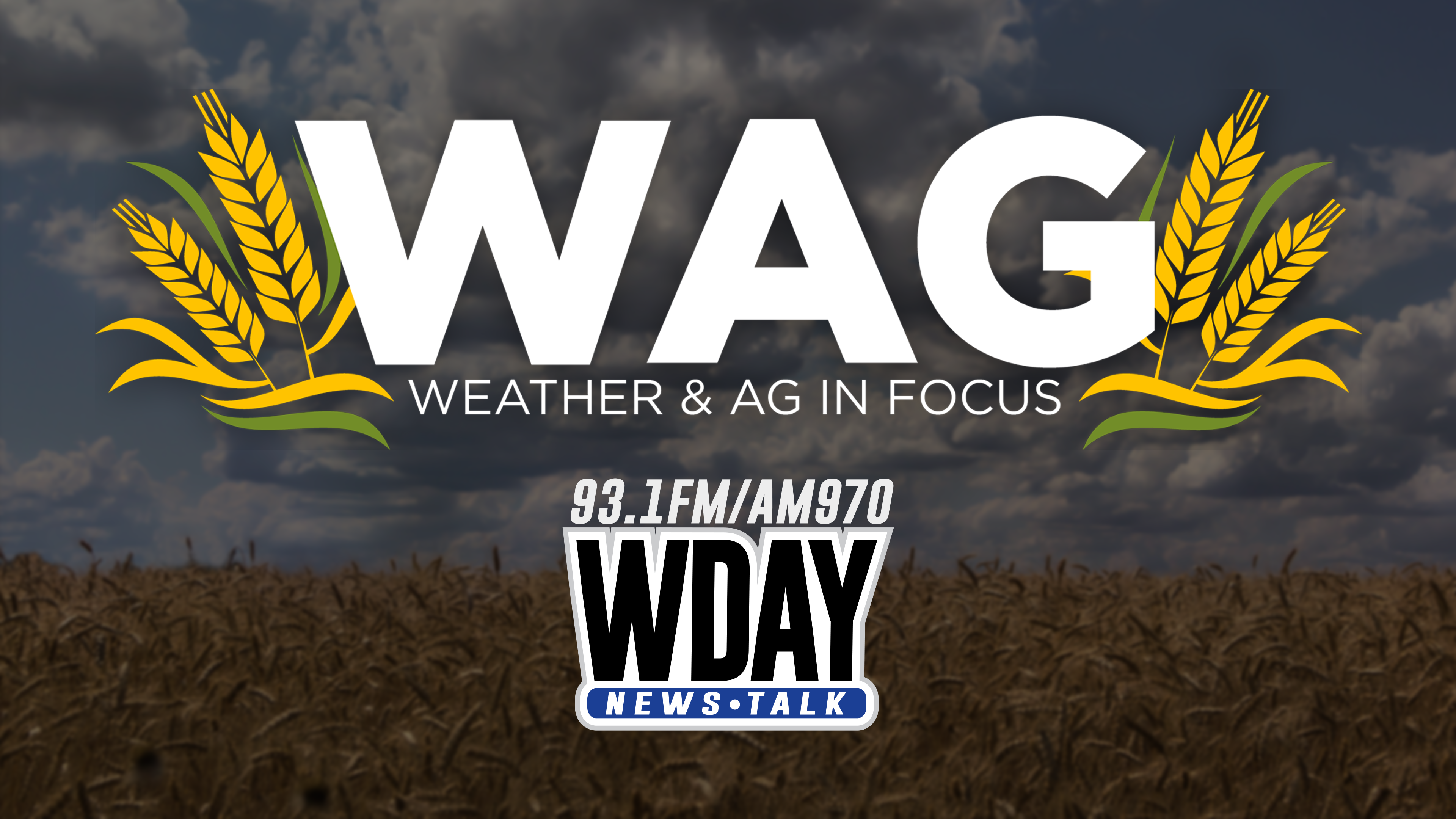 9-23-22 WAG In Focus