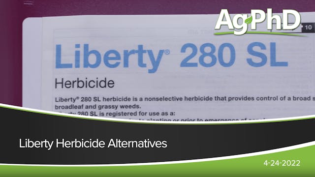 Liberty Herbicide Alternatives