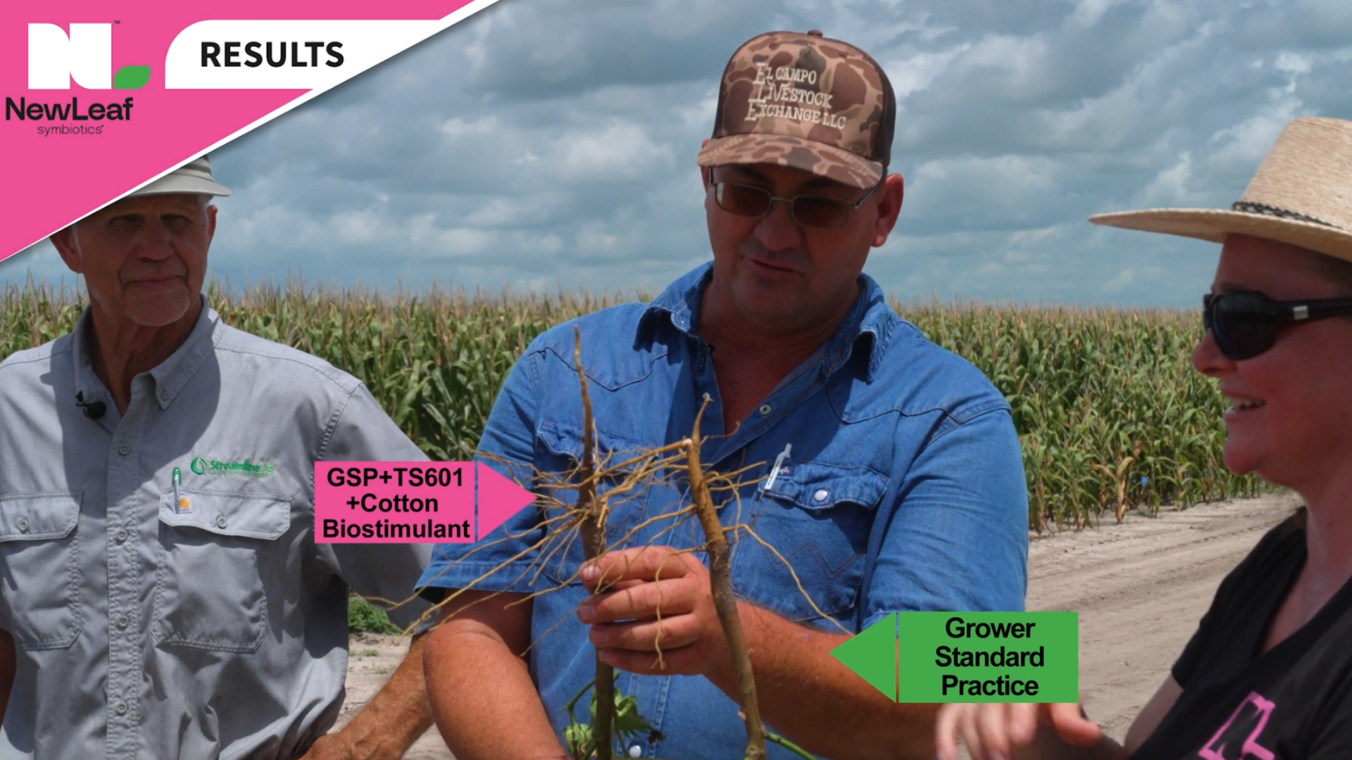 Powering Cotton Potential | Pink Performance Tour | Texas | NewLeaf Symbiotics
