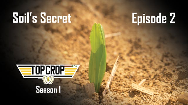 Soil's Secret | Top Crop