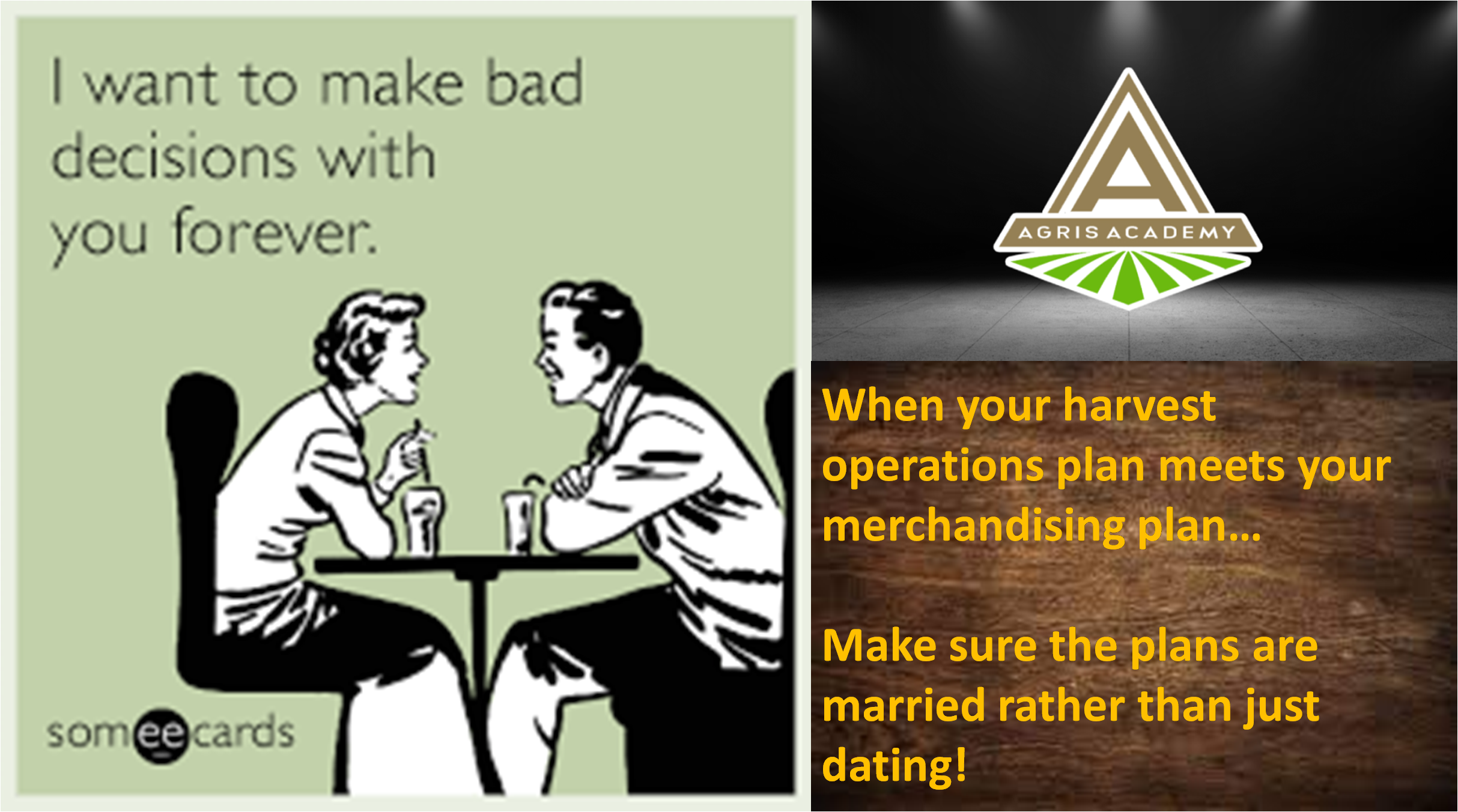 The Marriage of the Physical Plan and Merchandising Plan | AgrisAcademy