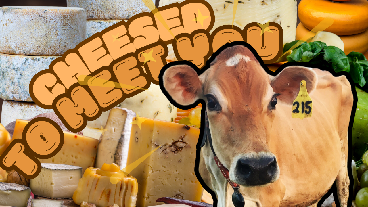 Dairy success in IL | WAG in Focus 11/19/24