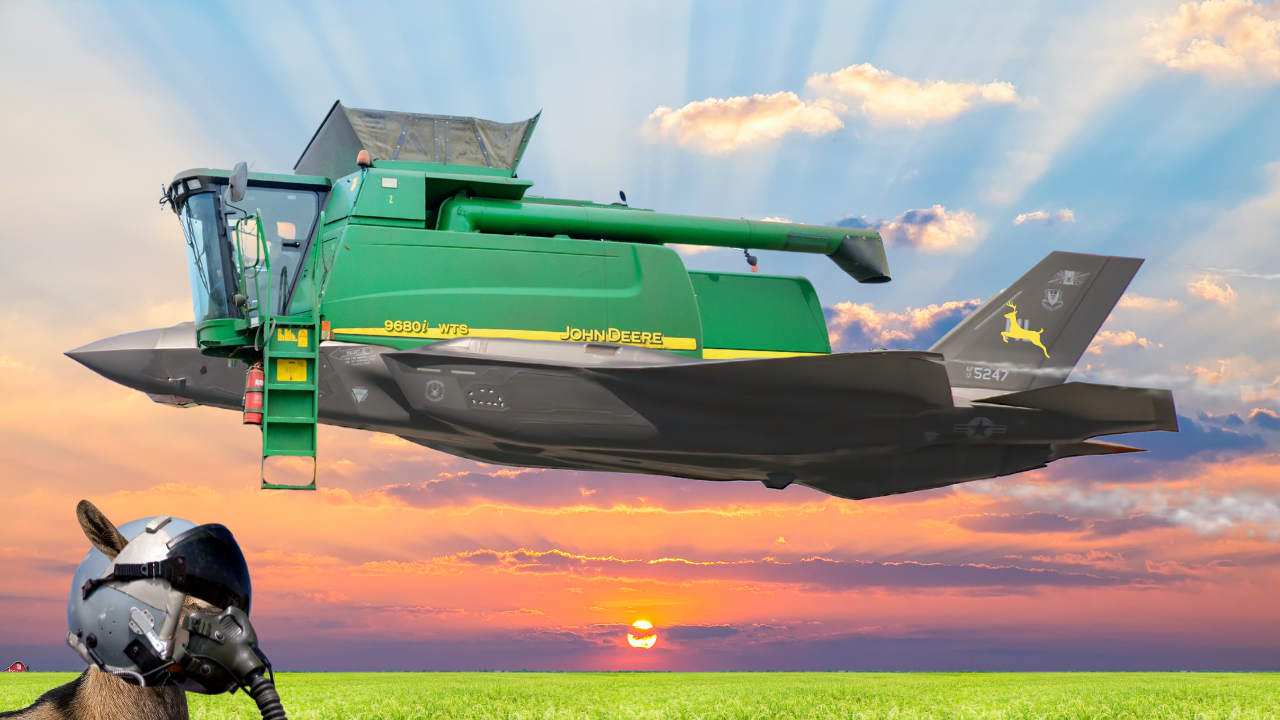 How Did That Get There? | WAG in Focus 03-12-25