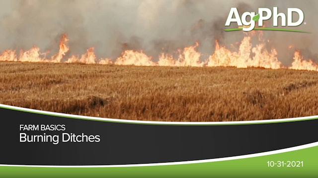 Burning Ditches | Ag PhD
