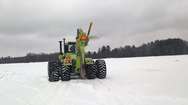 Tile Tiger with a big CAT | Episode 3...