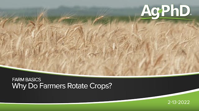 Why Do Farmers Rotate Crops? | Ag PhD