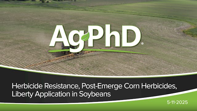 Herbicide Resistance, Post-Emerge Cor...