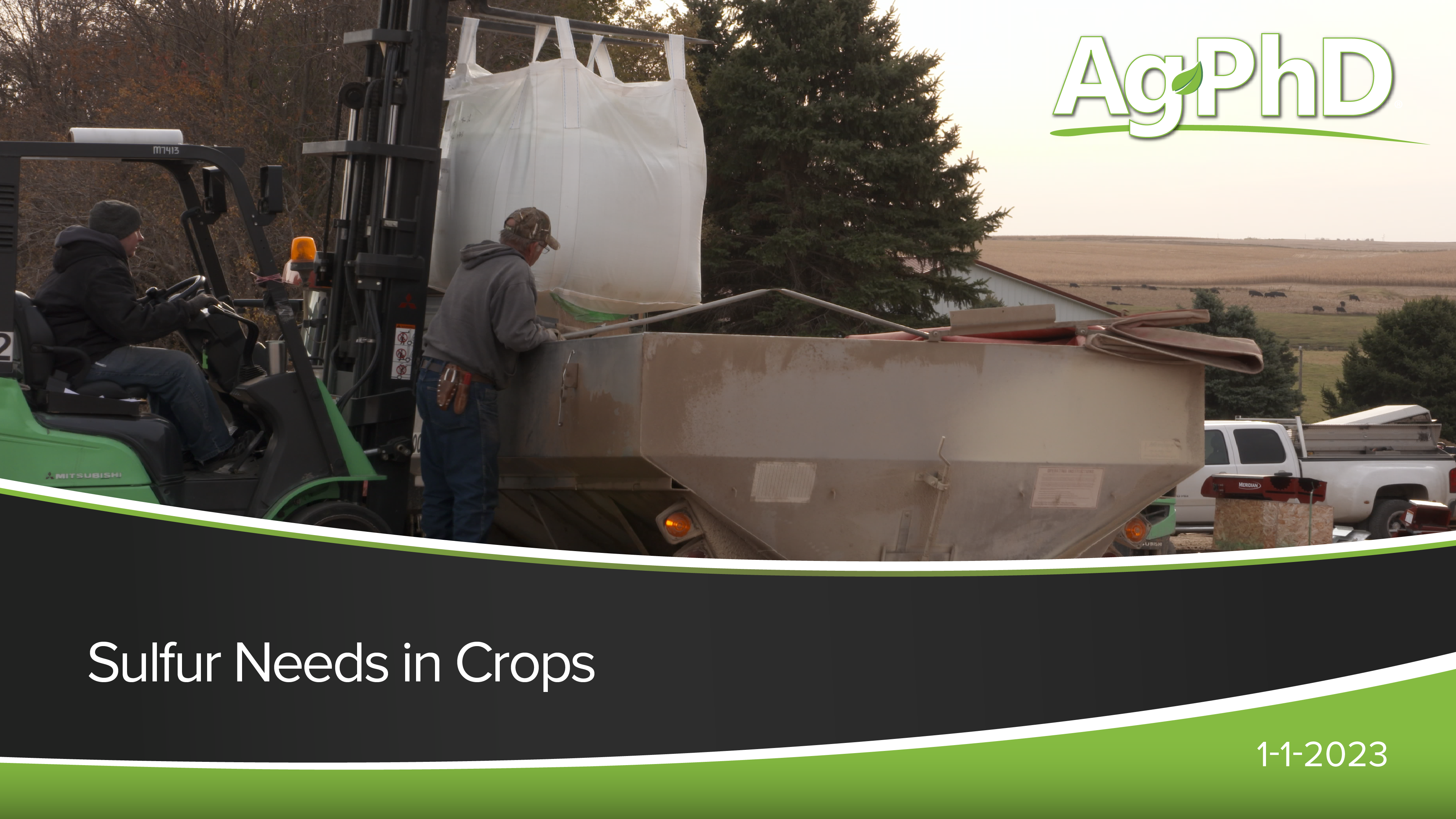 Sulfur Needs in Crops | Ag PhD