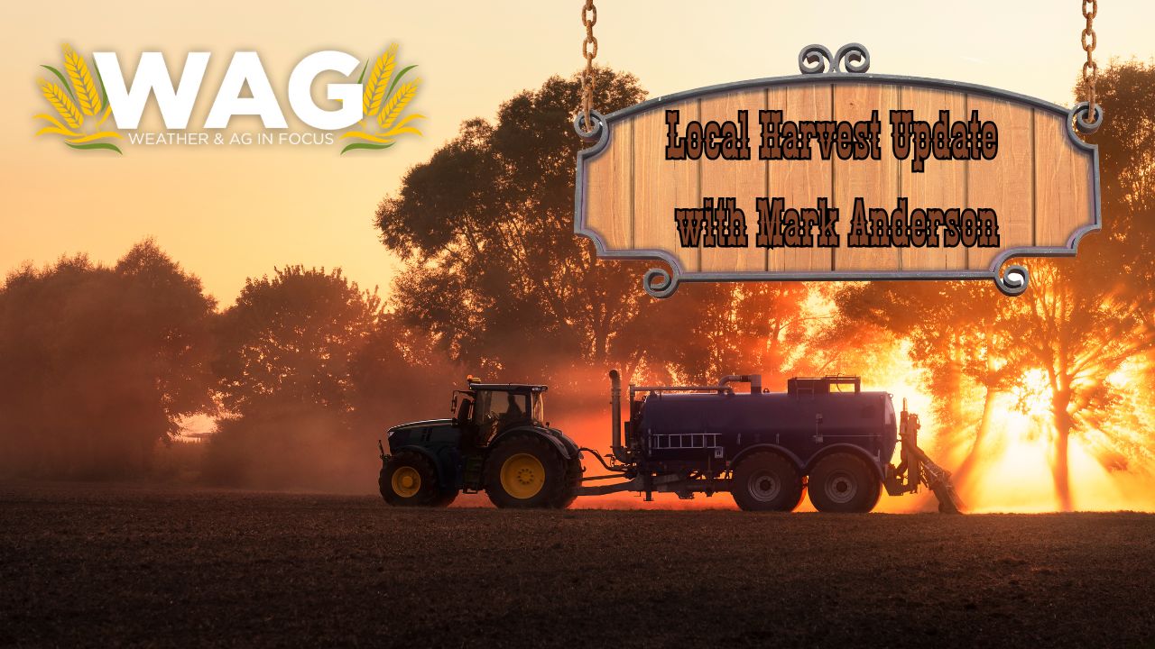 Local Harvest Update With Mark Anderson | WAG in Focus 11/10/23
